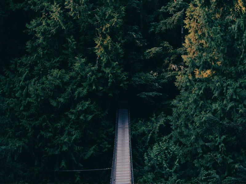 WhatsApp账号解封<br>2026官方申诉入口完整教程